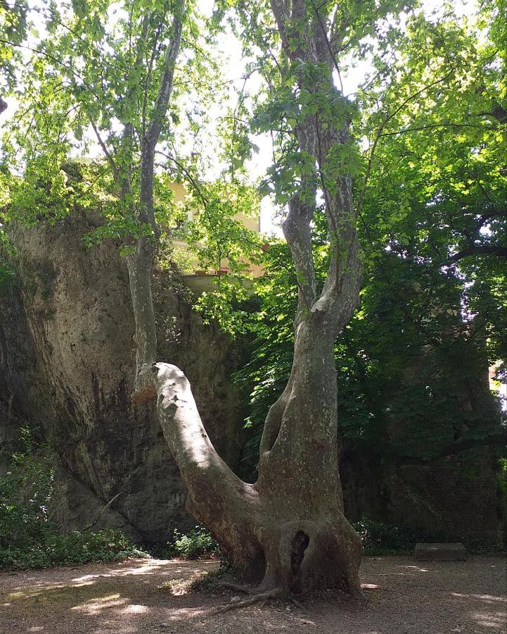 Maison Au Coeur De Fontaine De Vaucluse, Nichee Sur Le Rocher Et Surplombant La Sorgue Εξωτερικό φωτογραφία